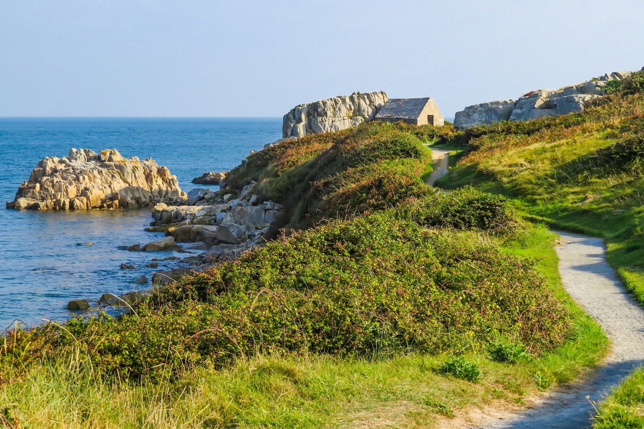Coastal path on Guernsey above the sea with wildflowers along the cliffs